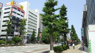 新潟駅前東大通り