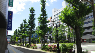 新潟駅前東大通り