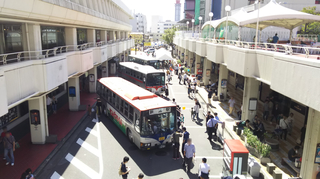 busfestival1.jpg