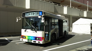 busfestival13.jpg