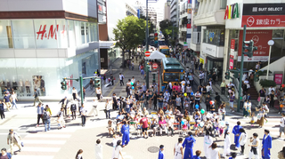 busfestival3.jpg