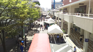 busfestival4.jpg