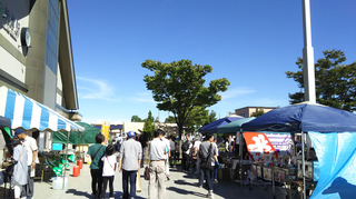 niitsu_rail20181-5.jpg