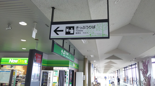 niitsusta30.jpg