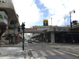 toujitsuza2019-1.jpg
