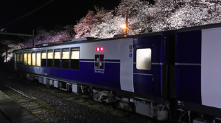 2019bunsuiyozakura16.jpg