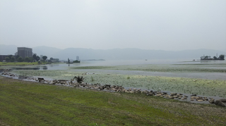20200808-17.jpg