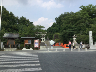 20200808-21.jpg
