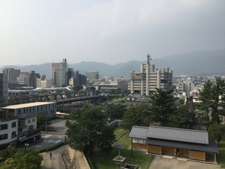 20200808-28.jpg