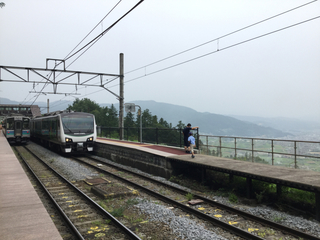 20200808-8.jpg