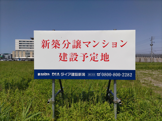 DIAsanjoA20250519-1.jpg