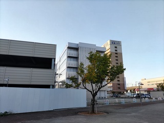 DSC_6377.JPG
