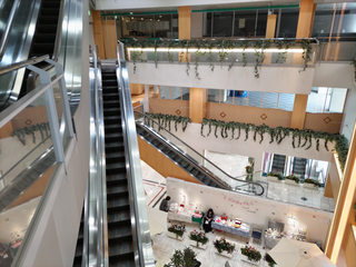 Sendaicity20241130-5.jpg