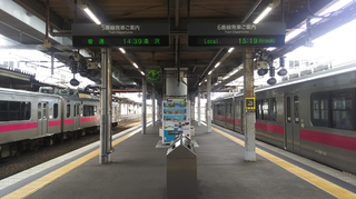 akitasta42.jpg