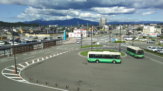 akitasta55.jpg