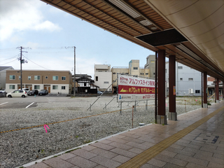 alpha-shibata20250412-1.jpg