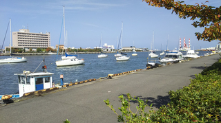 bandaijima9.jpg