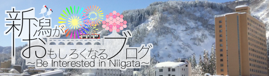 新潟がおもしろくなるブログ Be Interested In Niigata 政令市で都会の新潟市 新潟市は都会なのか もう面倒なので都会 で良いと思います