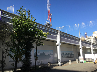 daichikuza20211106-1.jpg