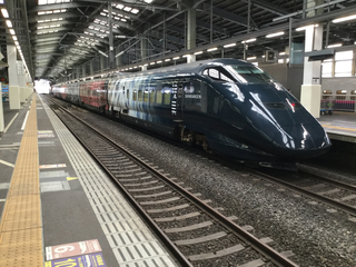 genbi1-3.jpg