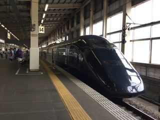 genbi2-8.jpg