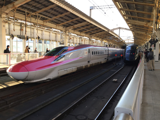 genbi6-17.jpg