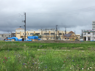 kamitokoro20200723-2.jpg