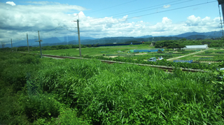 kirakirauetsu3-17.jpg