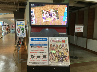 kiraraten3.jpg