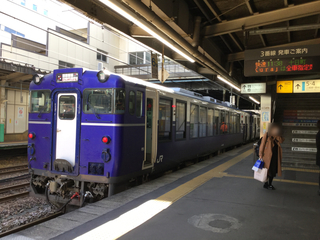 koshino-shukura2-1.jpg