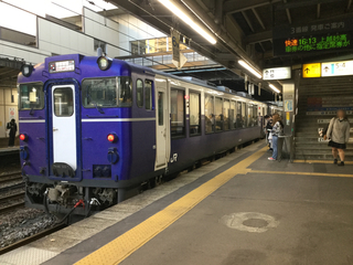 koshino-shukura3-1.jpg