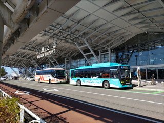 limousinebus16.jpg