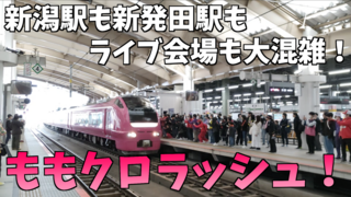 momokuro-rush-thumb.png