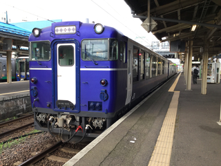 naoetsusta-koshinoshukura-1.jpg