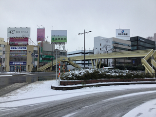 nihonseimei2021-1.jpg