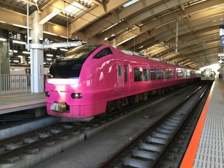 niigatasta-E653-inaho-2-3.jpg