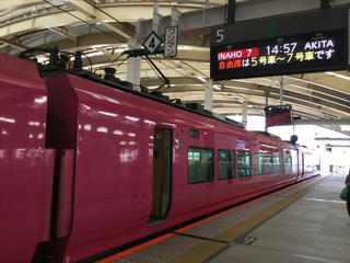 niigatasta-E653-inaho-2-4.jpg