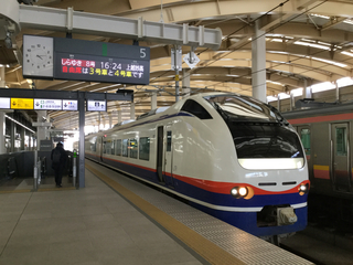 niigatasta-E653-shirayuki-1.jpg