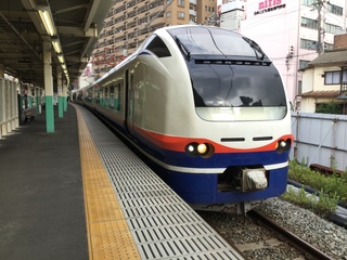 niigatasta-E653-shirayuki-3.jpg
