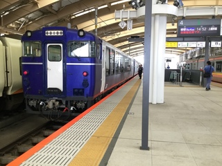 niigatasta-ryutoshukura1.jpg