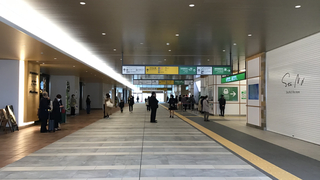 niigatasta20230325-2.jpg
