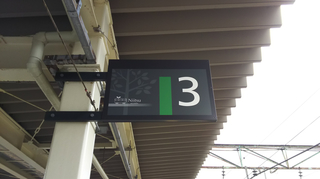 niitsusta29.jpg