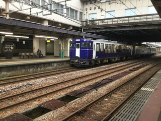 ryutoshukura39.jpg