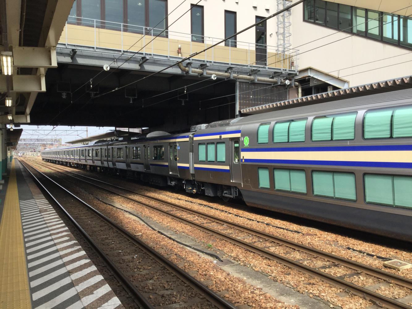 列車旅】JR東日本新潟エリアの「駅カード」を集めながらNewDaysでお