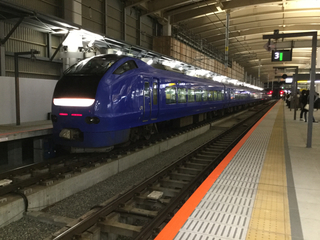 tokamachi-yuki11.jpg
