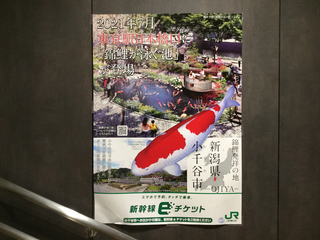 tokyotorch17.jpg