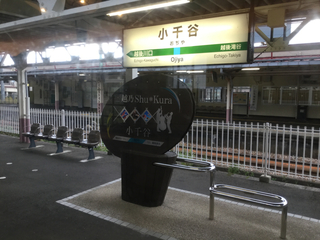 yuzawashukura8.jpg